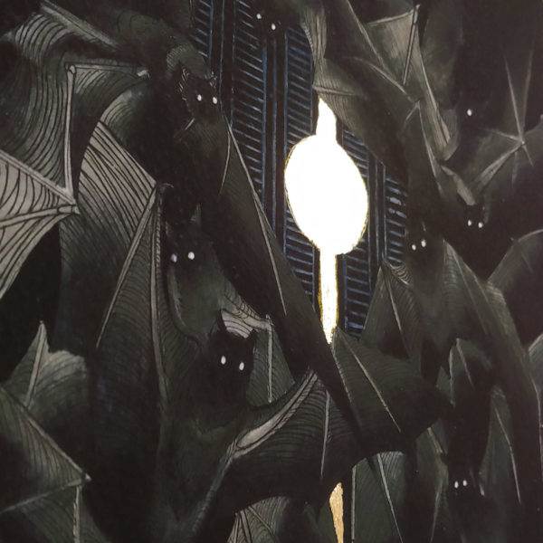 Te Rerenga Ake o Ngā Pekapeka - Image 3