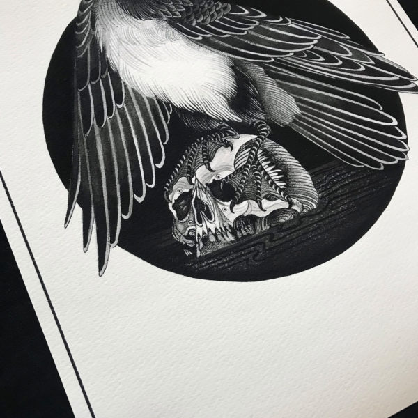 Kawau Pāteketeke Print