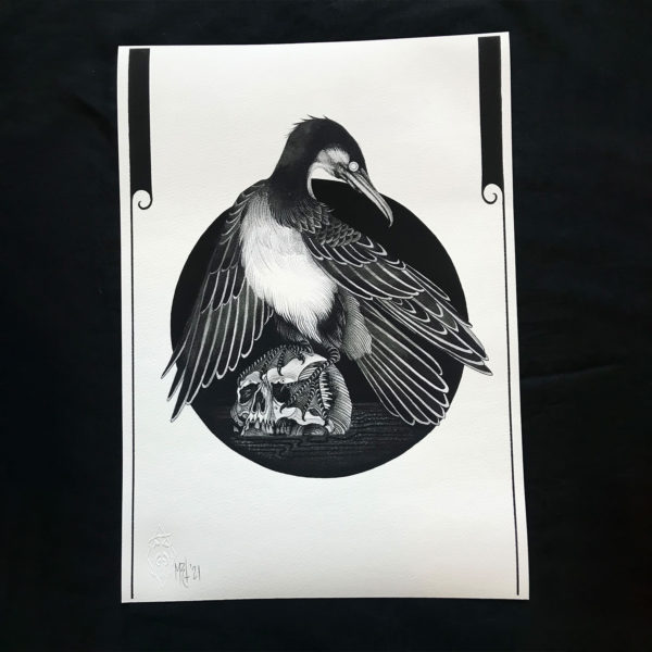 Kawau Pāteketeke Print - Image 2